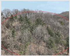  2025Ÿ��51743  �Ӿ߰��