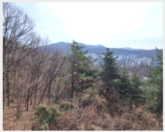  2025Ÿ��51743  �Ӿ߰��