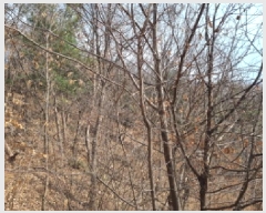  2025Ÿ��51743  �Ӿ߰��