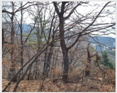  2025Ÿ��51743  �Ӿ߰��