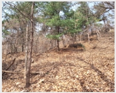  2025Ÿ��51743  �Ӿ߰��