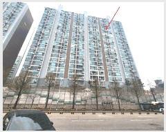  2025Ÿ51848  ֽ ź 45 Ʈ 104 19 1916ȣ   Ʈ