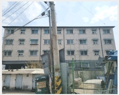  2025Ÿ��51929  �ټ���(����)���