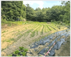  2025Ÿ��52188  ����