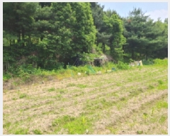  2025Ÿ��52188  ����