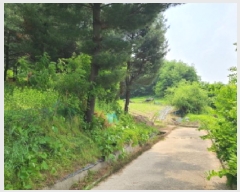  2025Ÿ��52188  ����