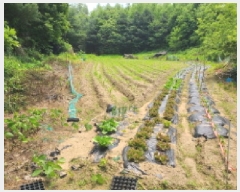  2025Ÿ��52188  ����