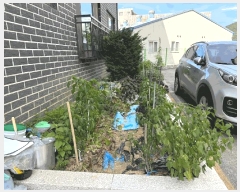  2025Ÿ��52537 ��� ���ֽ� �ʿ��� ���̸� 14-22 ����Ʈ���� 302�� 4��402ȣ   �ټ���,������