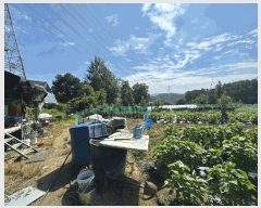  2025Ÿ��52749  �����