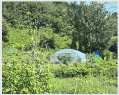  2025Ÿ��52749  �����