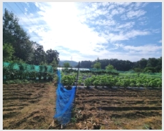  2025Ÿ��52749  �����