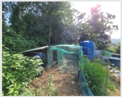  2025Ÿ��52749  �����