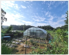  2025Ÿ��52749  �����