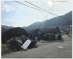  2025Ÿ��52826  ����