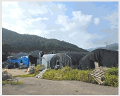  2025Ÿ��52826  ����