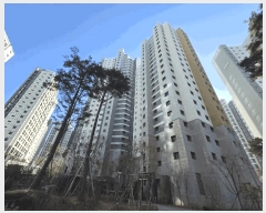  2025Ÿ��53723 ��� �ϳ��� �оϵ� 646 ���ʽ���̸� 7310�� 16��1603ȣ    ����Ʈ���