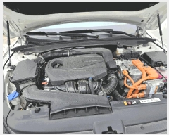  2025Ÿ��31454  �������