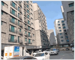  2025Ÿ��516  ���ǽ��ڰ��