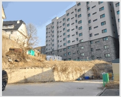  2025Ÿ��516  ���ǽ��ڰ��