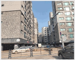  2025Ÿ��516  ���ǽ��ڰ��