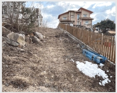  2025Ÿ��542  �Ӿ߰��