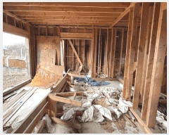  2025Ÿ��542  �Ӿ߰��