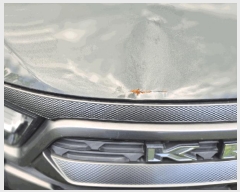  2025Ÿ��31438  �������