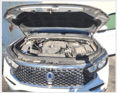  2025Ÿ��31803  �������