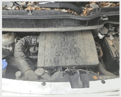  2025Ÿ31312  ֽ ո 4 4 (մ븮)     