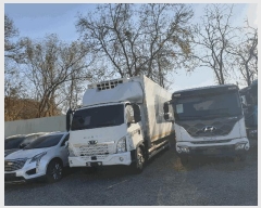  2025Ÿ��31881  �������