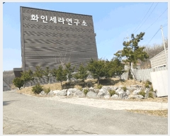  2025Ÿ562  ȼ ׻ ĥ帮 319      