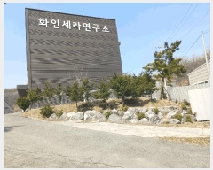  2025Ÿ562  ȼ ׻ ĥ帮 319      