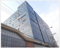  2025Ÿ596  ý   737-2 ۽ƮŸ  101013ȣ   Ʈ