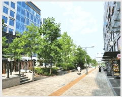  2025Ÿ��675  �ٸ��󰡰��