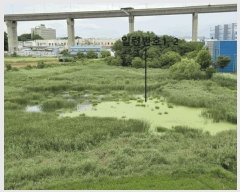  2025Ÿ682  ý  ȣ 331-3      ()