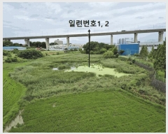  2025Ÿ682  ý  ȣ 331-3      ()