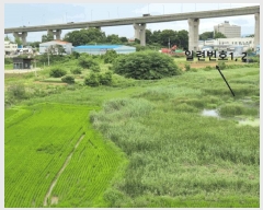  2025Ÿ682  ý  ȣ 331-3      ()