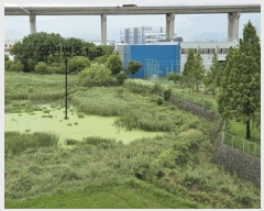  2025Ÿ682  ý  ȣ 331-3      ()