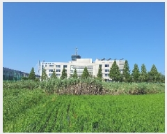  2025Ÿ682  ý  ȣ 331-3      ()