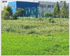  2025Ÿ682  ý  ȣ 331-3      ()