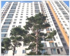  2025Ÿ��762  ����Ʈ���