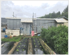  2025Ÿ40316  ý ؼ ͸ 461-5      ð