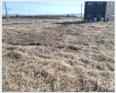  2025Ÿ��41369  ����