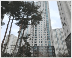  2025Ÿ��41377  ����Ʈ���