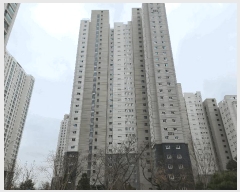  2025Ÿ��41377  ����Ʈ���