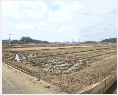  2025Ÿ��41466 ��� ���ý� ������ ������ 491-7      ����(��)���