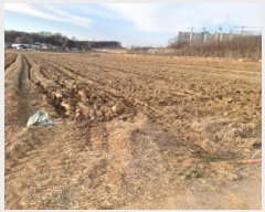  2025Ÿ��41466 ��� ���ý� ������ ������ 491-7      ����(��)���