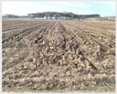  2025Ÿ��41466 ��� ���ý� ������ ������ 491-7      ����(��)���