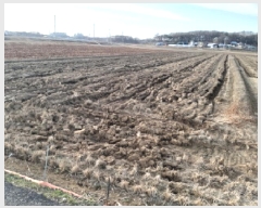  2025Ÿ��41466 ��� ���ý� ������ ������ 491-7      ����(��)���