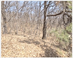  2025Ÿ41557  ȼ ׸ ɱ 23-1      ()